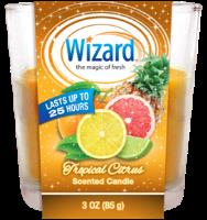 CA3713-1 : Tropical Citrus Candle