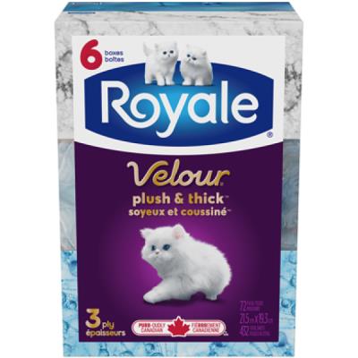 S71144 : Royale S71144 : Hygiene and Health - Facial tissues - Facial Tissues Velvet ROYALE, FACIAL TISSUES velvet,8 x (6 x 72 F)